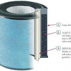 Austin Air Replacement HEGA Filter for Allergy Machine (FR405) by Austin Air